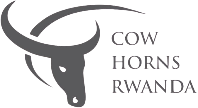 Cow Horns Rwanda